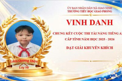 TIN VUI TỪ CUỘC THI TÀI NĂNG TIẾNG ANH TIỂU HỌC TỈNH NINH BÌNH NĂM HỌC 2025–2026